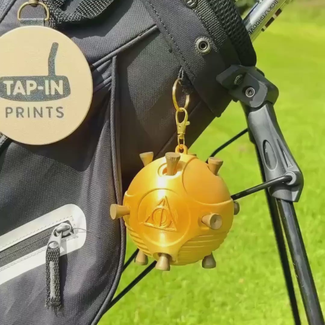 The Wizard's Prize